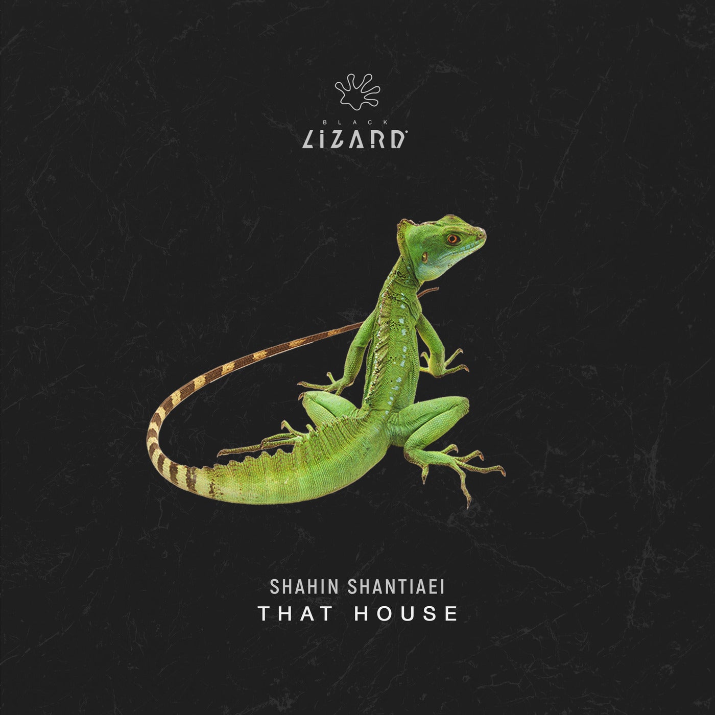 Shahin Shantiaei - That House - Extended Mix [BL2101DJ]